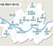 “서울 일출명소 16곳서 해맞이 하세요”