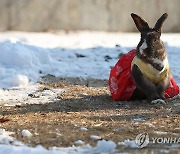 '계묘년 올해는 내가 주인공'