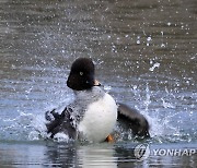 새해에도 힘차게