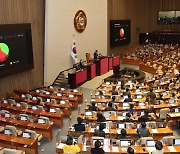 불체포특권에 면책특권까지, 참으로 염치없는 정치인들 언제까지...[핫이슈]