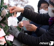 "깡충깡충 뛰는 새해 되길"…소망나무 가득 메운 염원들