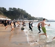 제주 국제펭귄수영대회 개최