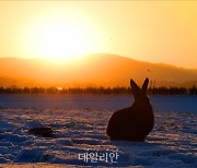 '2023년 계묘년 검은 토끼의 해! 대한민국 도약의 한 해 되길'