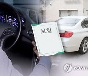 교통사고·홀인원 위장, 폐사한 닭도 동원…보험설계사들 사기 수법 어디까지