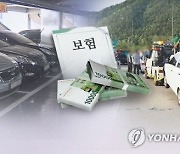 롯데손보 車보험료 2% ↓...손보사 줄줄이 인하 동참