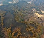 ‘제2의 울진 산불 막자’…경북, 119산불특수대응단 본격 운영