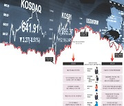 주식 투자 포기 못해요, 그때도 지금도 유일한 ‘동아줄’이니까[다시 만난 2030 ‘자낳세’ 보고서]