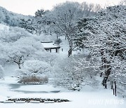 전남도, 지혜로운 선조의 숨결 ‘으뜸숲’ 12곳 선정