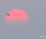 '계묘년, 첫 해돋이'