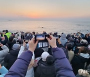 "반갑다! 토끼해"…울산 간절곶 3년 만에 해맞이