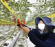 울산시, 농촌 미래 이끌 청년 농업인 지원사업 추진