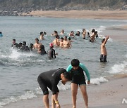 '차가운 바닷물 속에서 새해 맞이'