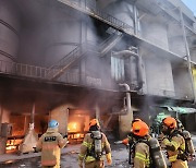 단양 석회석 가공 공장서 불… 인명피해 없어