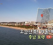 [풍경여지도] 오감만족! 겨울여행 - 충남 보령 1부