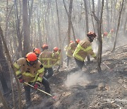 경북 119산불특수대응단 신설..이달부터 본격 운영