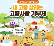 ‘고향사랑기부제’ FC안양, 부산 커피, 울릉 크루즈, 속초 서핑 등 가지가지