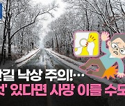 [리빙톡] 빙판길 낙상 주의!…'이것' 있다면 사망 이를 수도