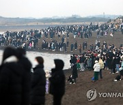 제주 광치기해변 해맞이 인파