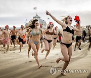 NETHERLANDS NEW YEAR DIVE