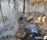 전남 고흥 두원면 야산서 불…인명피해 없어