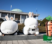 계묘년 맞은 국회에 설치된 대형 토끼 인형