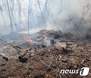 인천 옹진 야산서 불…36분만 완진