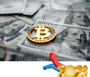 [bitcoin] 2년 전 가격으로 떨어진 비트코인, 지금 사, 말아?