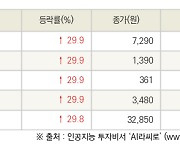 [fnRASSI]오늘의 상한가, 피제이전자 29.9% ↑