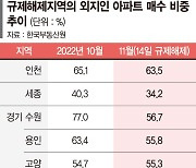 경기·세종 규제지역 벗어났지만… 외지인 매수 잠잠