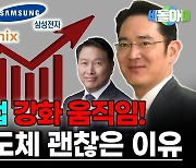 “삼성전자 SK하이닉스 주가 올해는 괜찮다”…믿어도 될까 [이종화의 세돌아이]