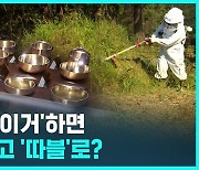 [D리포트] "고향에 기부하세요"…공짜 답례품에 공제까지