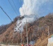 예천서 이틀 연속 또 ‘산불’… 0.2㏊ 태우고 진화