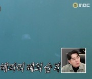 '안다행', 해파리 떼 습격 후 먹는 만찬 "말이 필요 없다" [★밤TView]