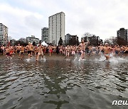 [포토] 한파에도 풍덩…3년 만의 '북극곰 수영대회'