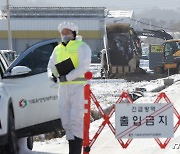 경기 김포·연천 산란계 농장 AI 확진…17만여마리 살처분