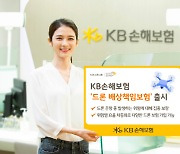 KB손해보험, '드론 배상책임보험' 출시…"25kg 초과 드론도 가입 가능"