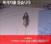 ‘패대기 치고 발로 밟고’  미성년자 추정 인물 고양이 학대에 경찰 수사 나서