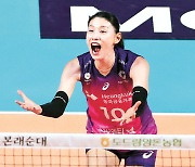 Kim Yeon-koung and resurgent Pink Spiders face another uncertain season