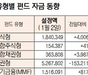 [데이터로 보는 증시]유형별 펀드 자금 동향(1월 2일)