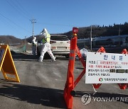 연천·김포 산란계 농장서 고병원성 조류인플루엔자 확진(종합)