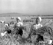 북한, '충성'과 '애국' 강조…"전원회의 구상 이행해야"