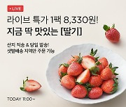 "딸기의 계절 왔다"…이색 품종으로 소비자 눈길 끄는 유통업계