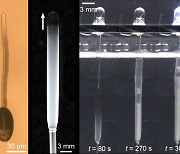 식물처럼 스스로 성장하는 고분자 인공 물질 시스템 나왔다