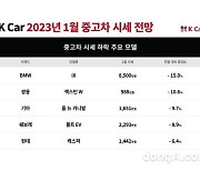 케이카, 1000만원대 가성비 중고차 시세 10%↓ 전망