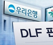 `DLF 사태` 투자자 배상 소송 첫 승소…"손해액 60％ 지급"