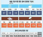 올해 韓경제 날씨…제약·화장품 '맑음' IT·가전 '한파'