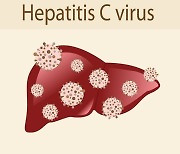 C형 간염 바이러스 증식 억제 새로운 방법 찾았다