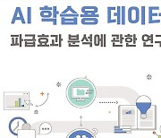 “AI 학습용 데이터 구축 정부 투자, 6.4배 경제 효과”