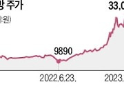 중소 지주사 폭등했는데…웃지못하는 까닭