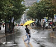 시험대 오른 서울 ‘대중교통전용지구’…첫 지정 10년 만에 ‘연세로’로 끝나나